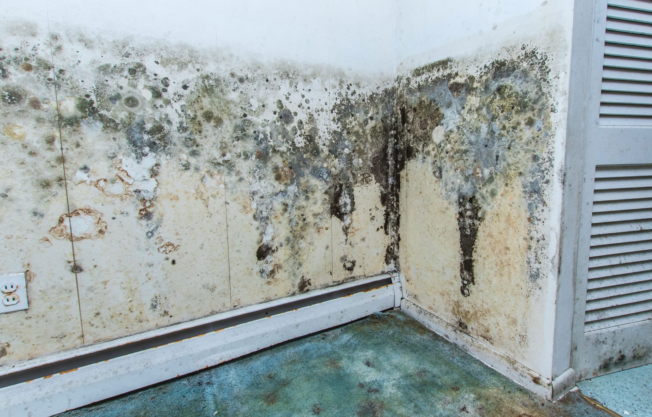 Professional service for mold removal and mold prevention in Broken Arrow, Oklahoma and surrounding areas.