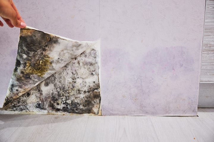 We provide fast, accurate, and affordable mold testing services in Broken Arrow, Oklahoma.